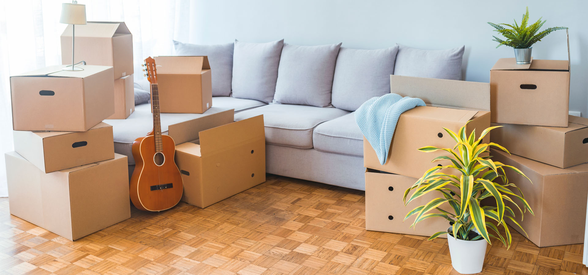 Move In / Move Out Cleaning